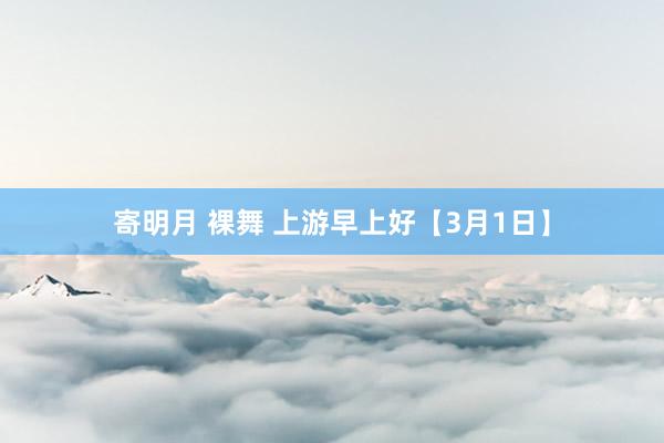 寄明月 裸舞 上游早上好【3月1日】