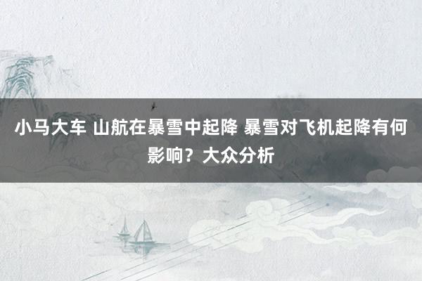 小马大车 山航在暴雪中起降 暴雪对飞机起降有何影响？大众分析
