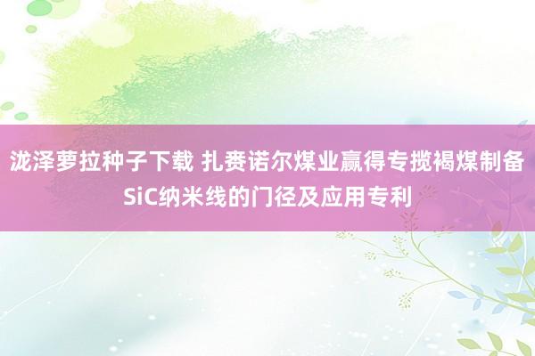 泷泽萝拉种子下载 扎赉诺尔煤业赢得专揽褐煤制备SiC纳米线的门径及应用专利