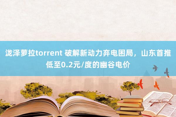 泷泽萝拉torrent 破解新动力弃电困局，山东首推低至0.2元/度的幽谷电价
