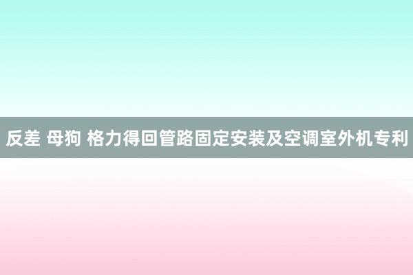 反差 母狗 格力得回管路固定安装及空调室外机专利