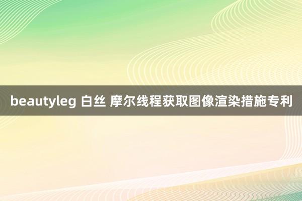 beautyleg 白丝 摩尔线程获取图像渲染措施专利