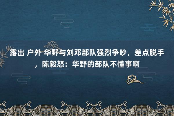 露出 户外 华野与刘邓部队强烈争吵，差点脱手，陈毅怒：华野的部队不懂事啊