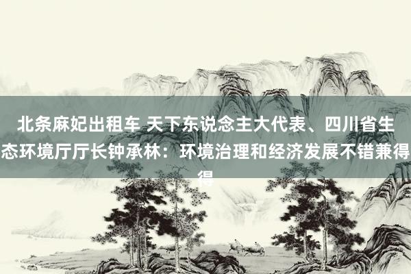 北条麻妃出租车 天下东说念主大代表、四川省生态环境厅厅长钟承林：环境治理和经济发展不错兼得