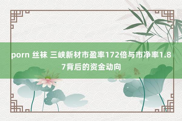 porn 丝袜 三峡新材市盈率172倍与市净率1.87背后的资金动向