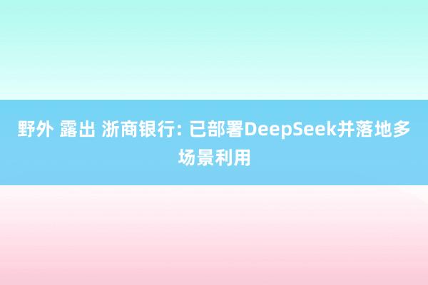 野外 露出 浙商银行: 已部署DeepSeek并落地多场景利用