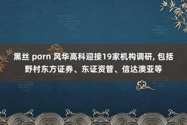 黑丝 porn 风华高科迎接19家机构调研, 包括野村东方证券、东证资管、信达澳亚等