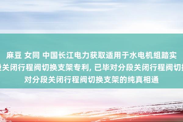麻豆 女同 中国长江电力获取适用于水电机组踏实可调的调速器分段关闭行程阀切换支架专利, 已毕对分段关闭行程阀切换支架的纯真相通