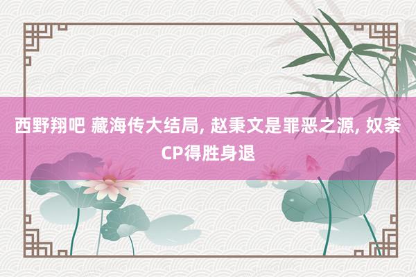 西野翔吧 藏海传大结局, 赵秉文是罪恶之源, 奴荼CP得胜身退