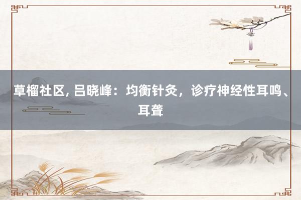 草榴社区, 吕晓峰：均衡针灸，诊疗神经性耳鸣、耳聋