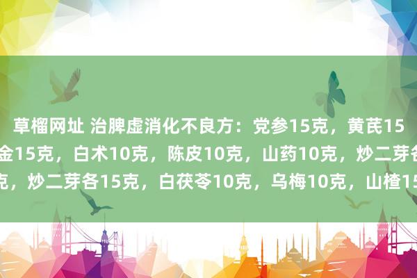 草榴网址 治脾虚消化不良方：党参15克，黄芪15克，神曲10克，鸡内金15克，白术10克，陈皮10克，山药10克，炒二芽各15克，白茯苓10克，乌梅10克，山楂15克，甘草6克。