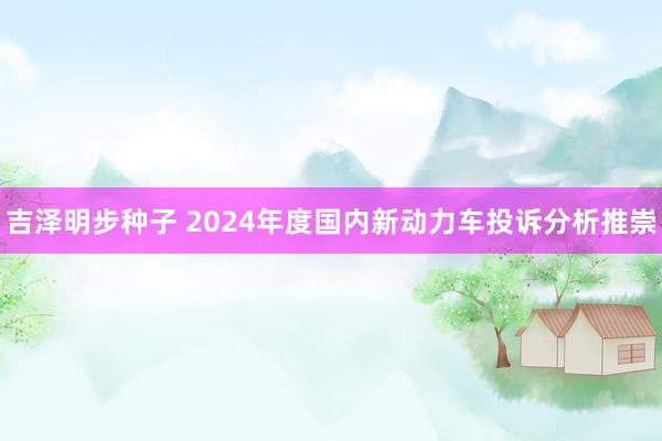 吉泽明步种子 2024年度国内新动力车投诉分析推崇