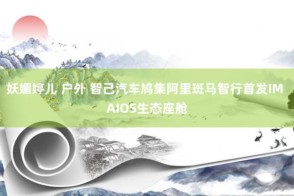 妖媚婷儿 户外 智己汽车鸠集阿里斑马智行首发IM AIOS生态座舱