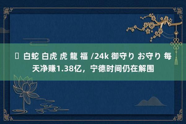 ✨白蛇 白虎 虎 龍 福 /24k 御守り お守り 每天净赚1.38亿，宁德时间仍在解围