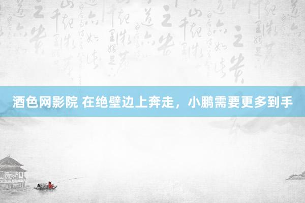 酒色网影院 在绝壁边上奔走，小鹏需要更多到手