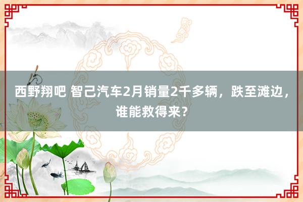 西野翔吧 智己汽车2月销量2千多辆，跌至滩边，谁能救得来？