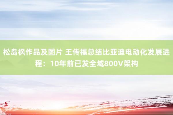 松岛枫作品及图片 王传福总结比亚迪电动化发展进程：10年前已发全域800V架构